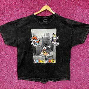 Animaniacs Cartoon City Graphic Mineral Wash T-Shirt XL